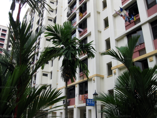 Blk 922 Hougang Street 91 (Hougang), HDB 5 Rooms #248462
